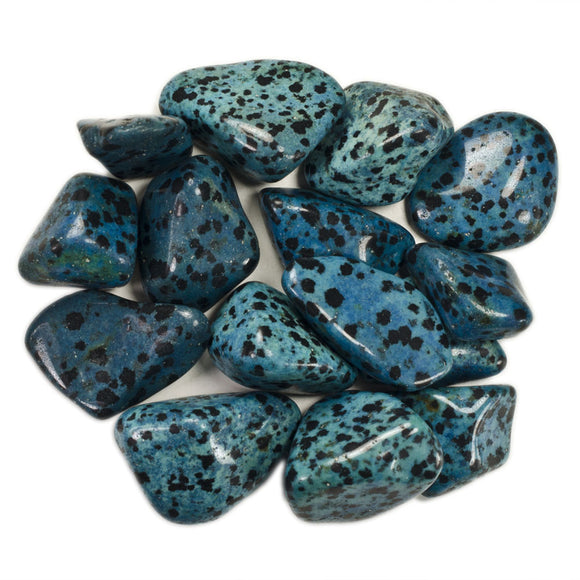 Tumbled Blue Dalmation Stones from Mexico