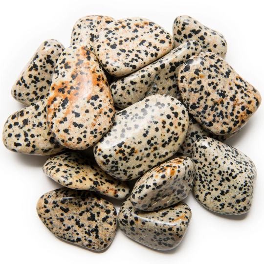 Tumbled Dalmatian Jasper - Grade 1 –  Large- 1.5 to .1.75” Avg.