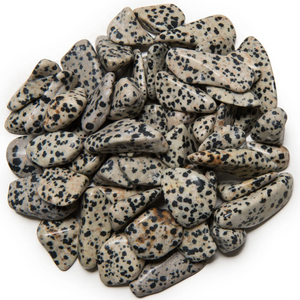 Tumbled Dalmatian Jasper - Grade 1 –  Medium - 1 to .1.5” Avg.