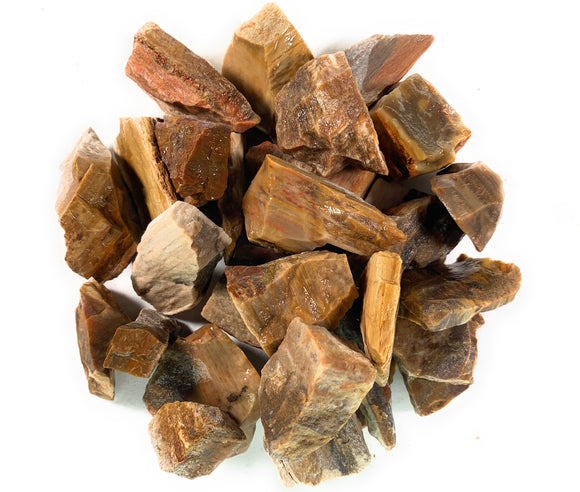 Petrified Wood Rough Stones from Madagascar