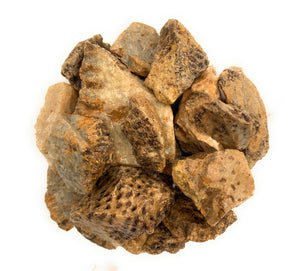 Fossil Coral Rough Stones from Indonesia