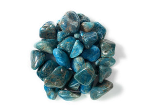 Tumbled Apatite from Madagascar - 0.75" to 1.5" Avg.